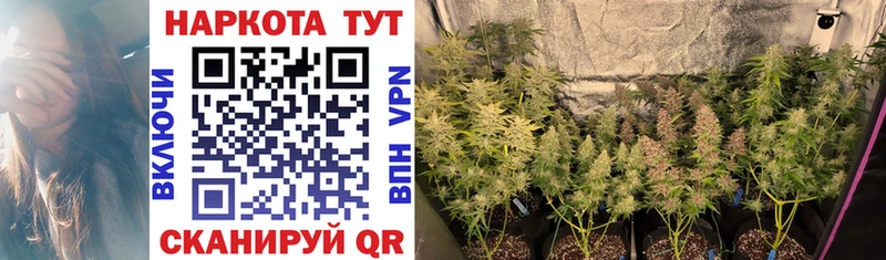 Где продают наркотики Белоозёрский ТГК APVP Конопля Гашиш COCAIN