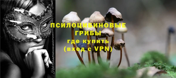 а пвп мука Алзамай