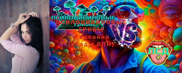 а пвп мука Алзамай