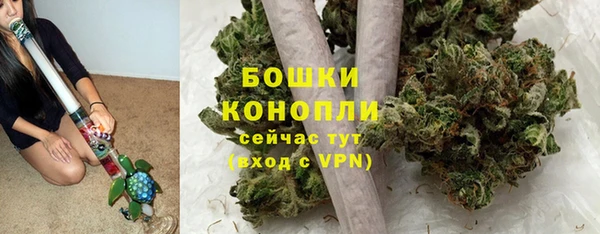 дурь Алексеевка