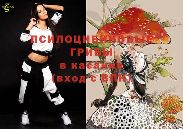 дурь Алексеевка
